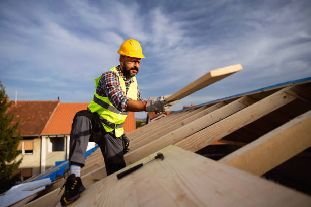 Best Roof Insulation Installation  in White House, TN